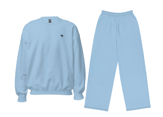 Light blue sweatshirt and pants set on a white background