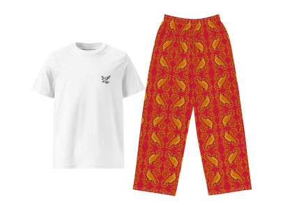 Arabesque Falcon (Red) T-Shirt & Pants Set